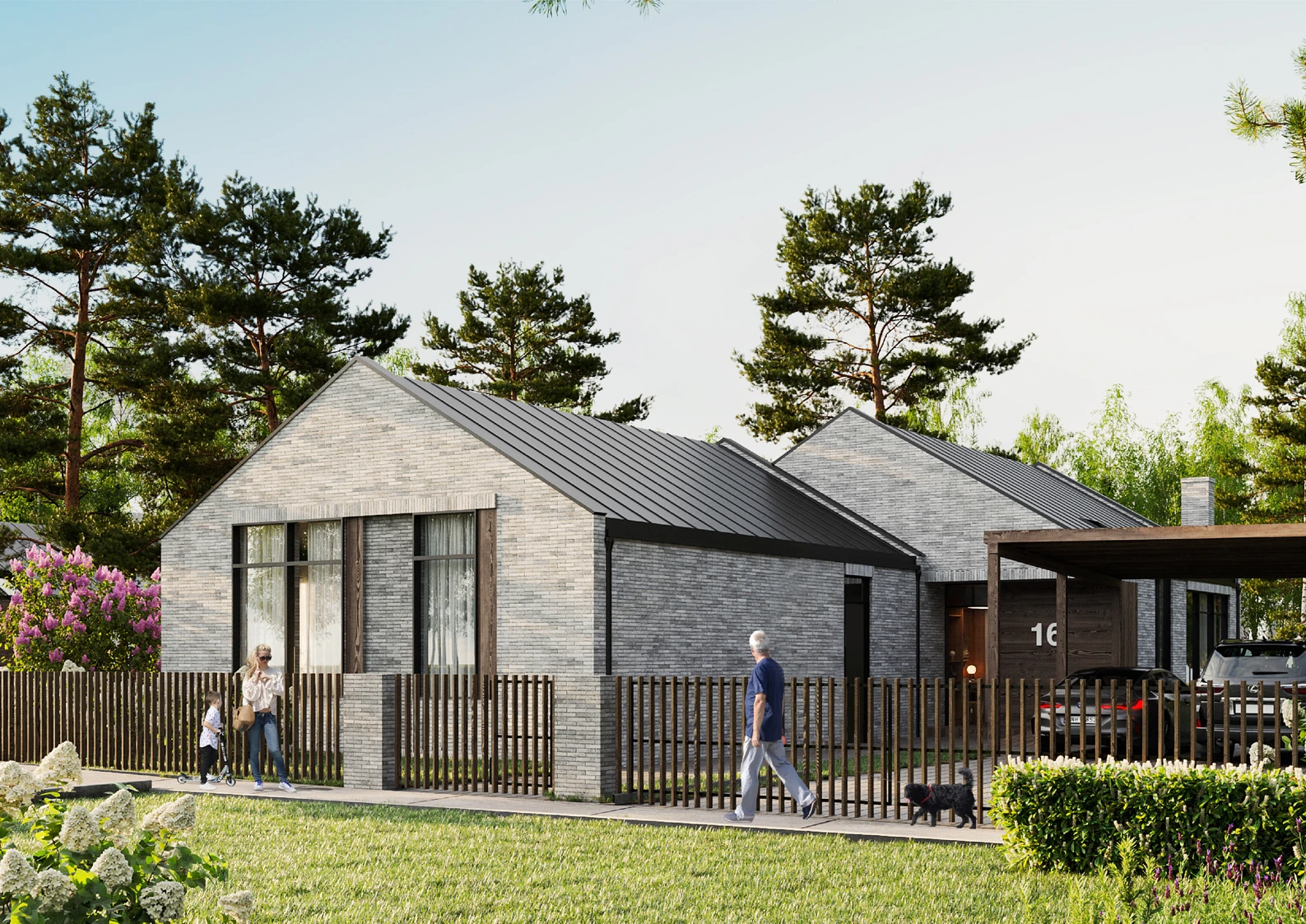 Detached housing, standard types — visualisation 1, general view